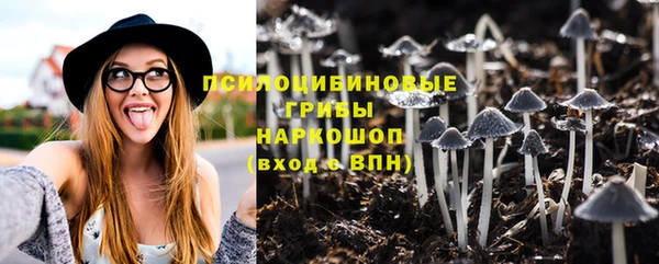 стаф Белоозёрский