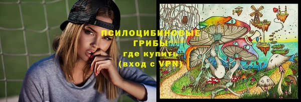 ECSTASY Белокуриха