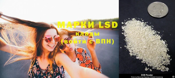ECSTASY Белокуриха