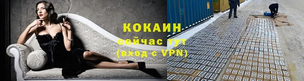 ECSTASY Белокуриха